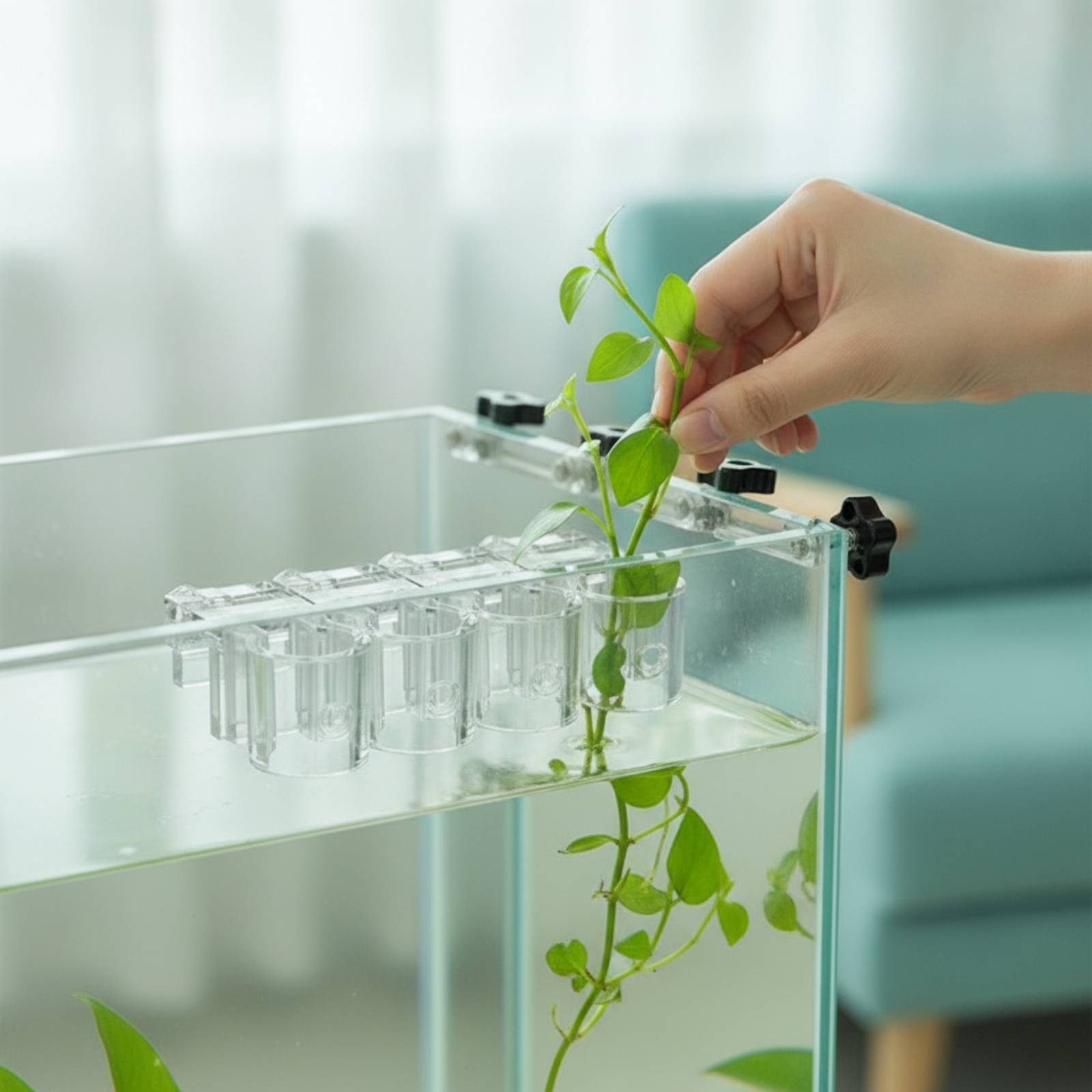 Aquarium Plant Original - 6 Pieces Aquarium Planter Clear Hydroponic