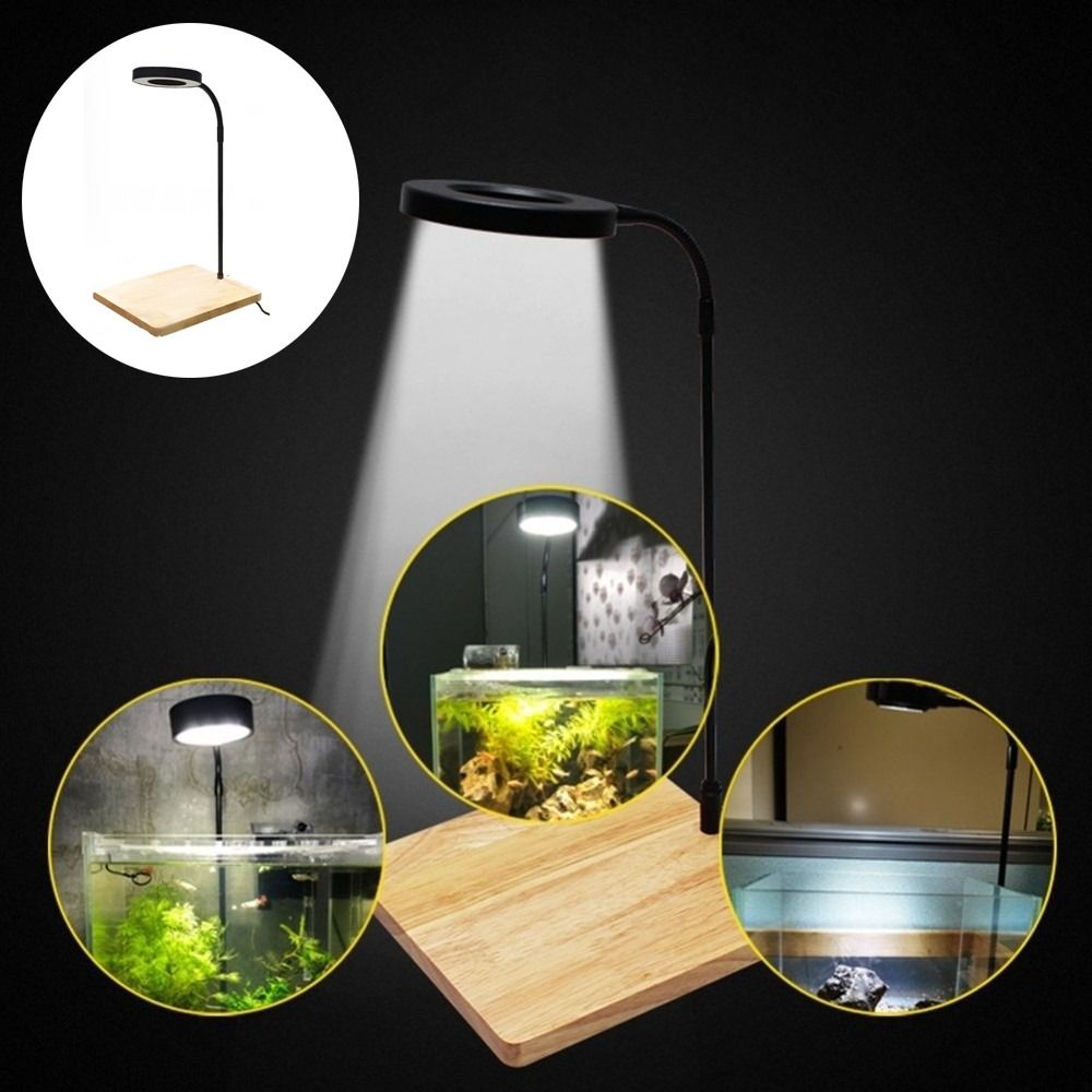 Aquarium Plant On Wood - 10W Fish Tank LED Lamp with