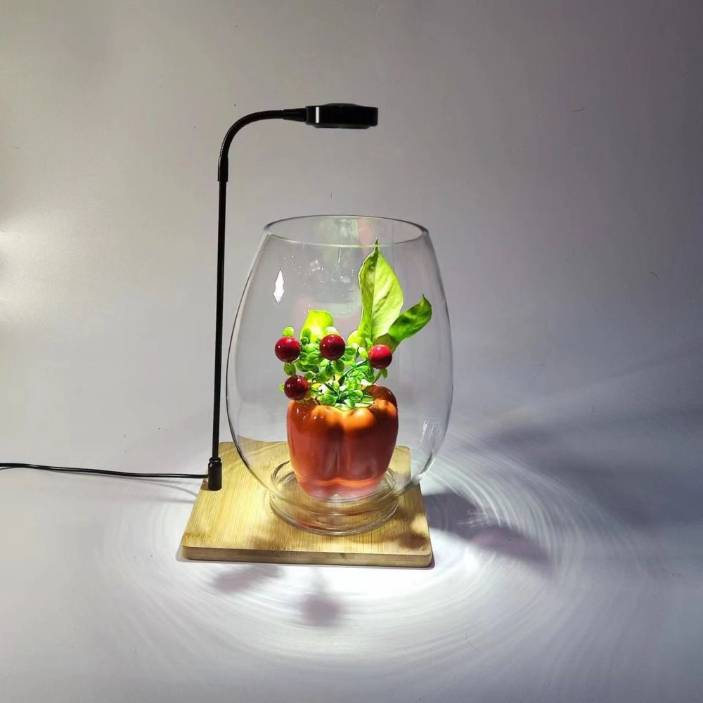 Aquarium Plant On Wood - 10W Aquarium Plant Fill Lamp with