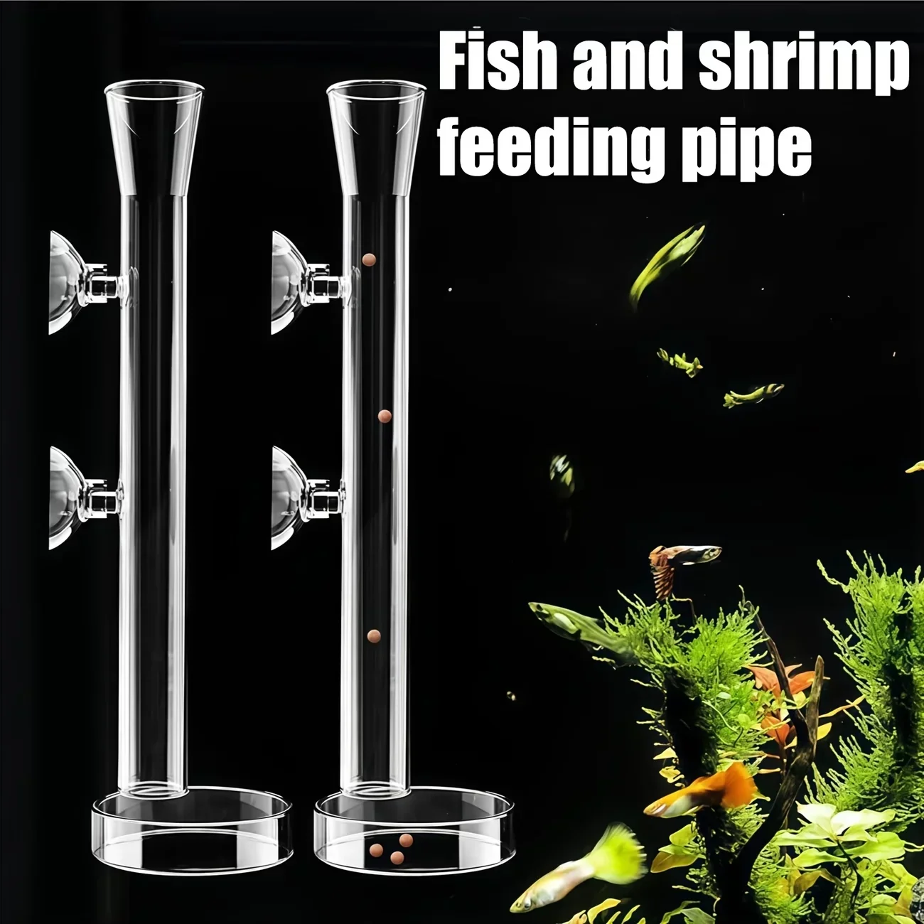 Planted Aquarium Youtube - A Top Quality Aquarium Glass Feeding