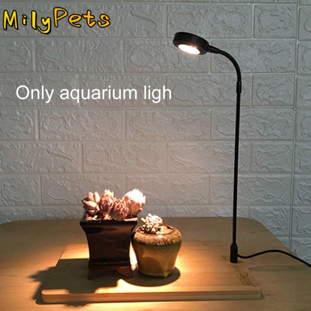 Aquarium Plant On Wood - 10W Aquarium Plant Fill Lamp with