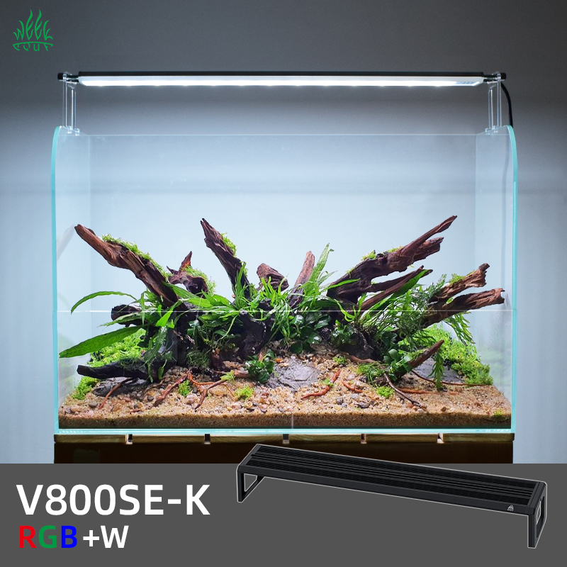 Planted Aquarium Ada - ZXY WEEK ADA Same Type Water