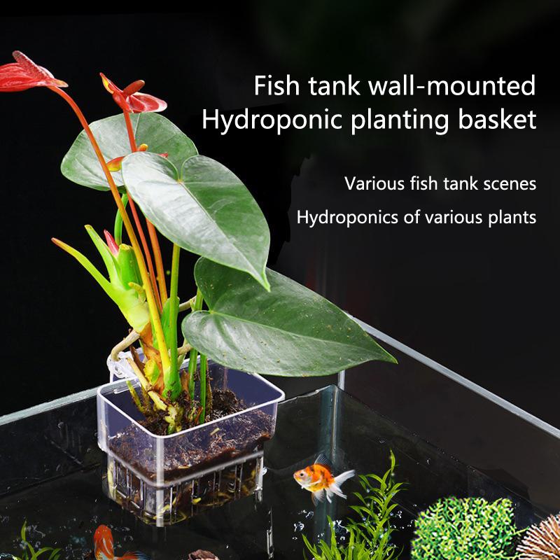Aquarium Planted Setup - Aquarium Hydroponic Planting Cup 2 5
