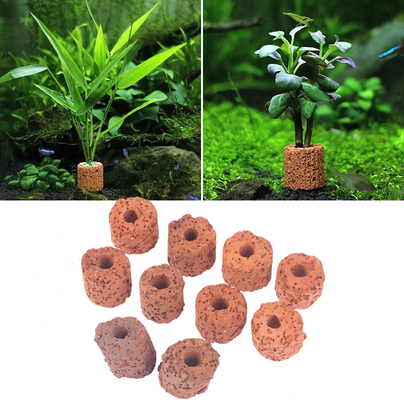 Aquarium Planted Setup - 10Pcs Mini Aquatic Plant Ring Bio