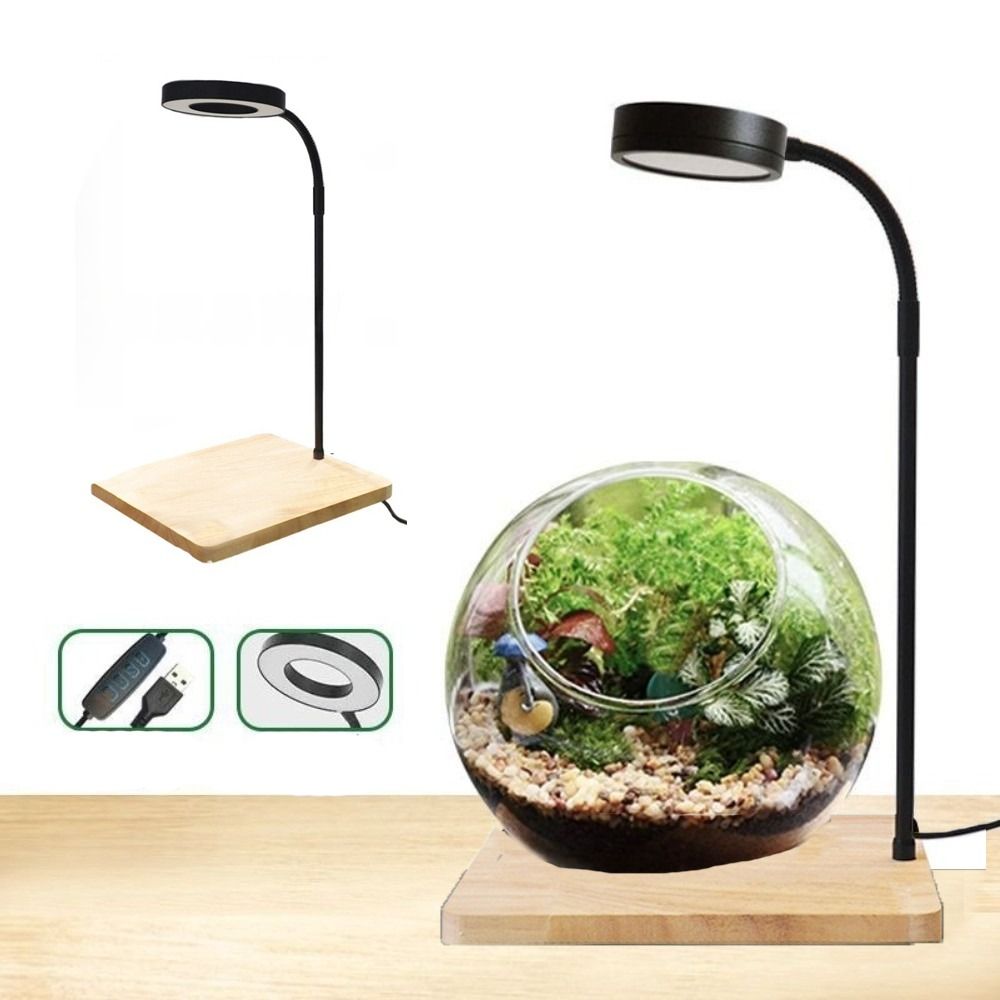 Aquarium Plant On Wood - 10W Fish Tank LED Lamp with