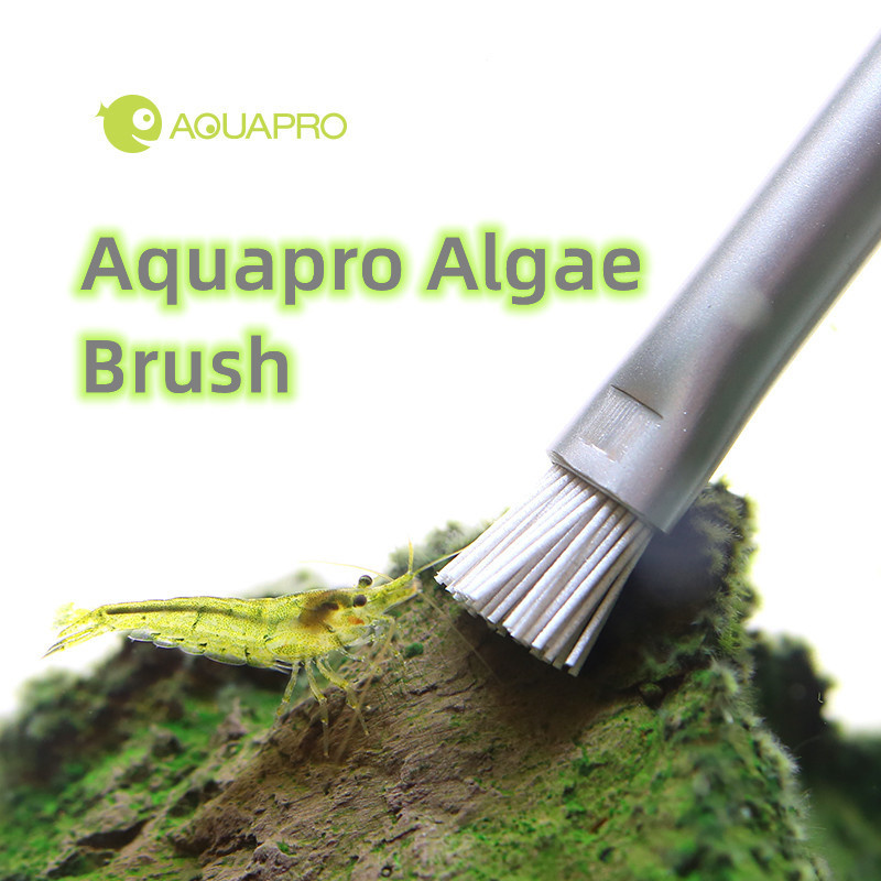 Planted Aquarium Ada - Aquapro Algae Brush Aquarium Fish Tank