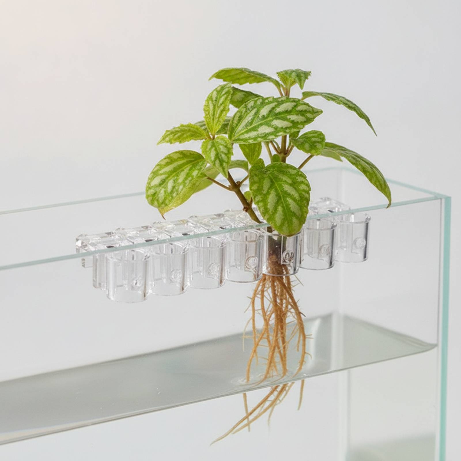 6 Pieces Aquarium Planter Clea - огляд і ціна Aquarium Plant Original