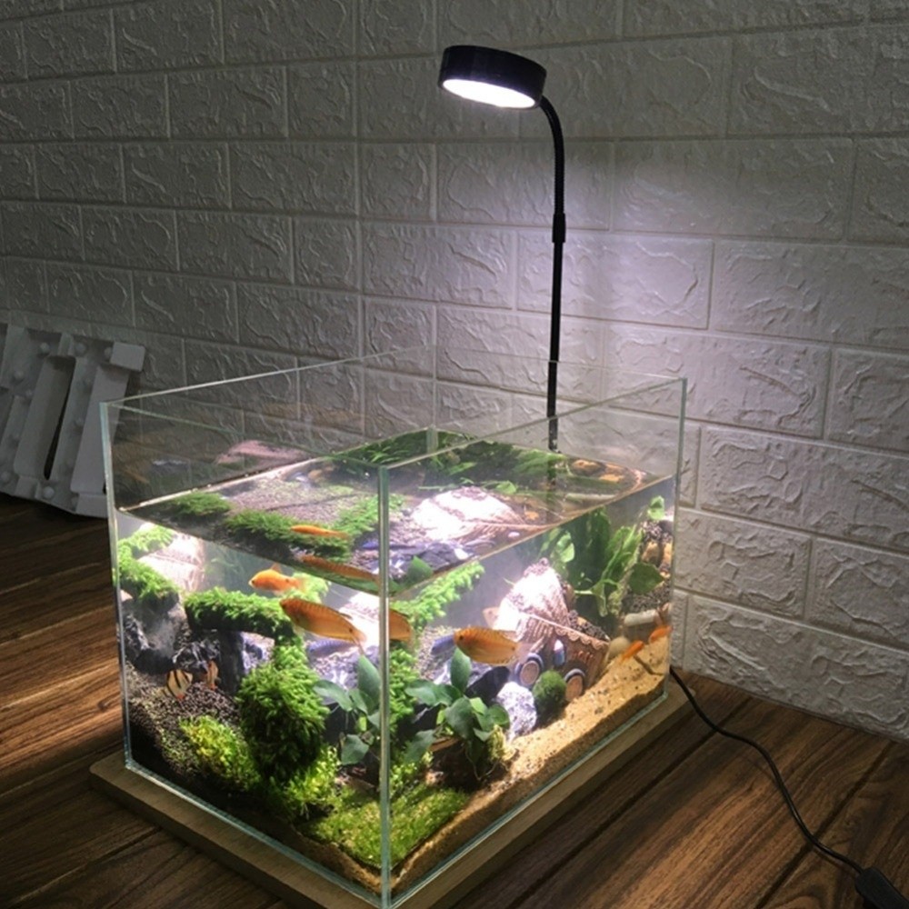 10W Fish Tank LED Lamp with Wo - огляд і ціна Aquarium Plant On Wood