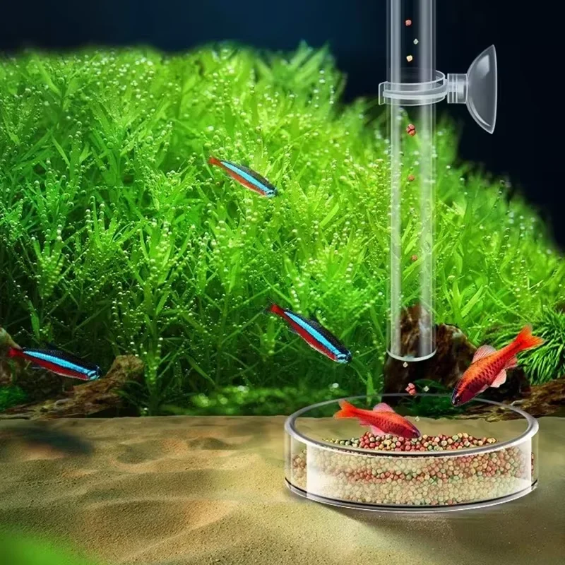 Aquarium Glass Feeding Tube &  - огляд і ціна Planted Aquarium Youtube