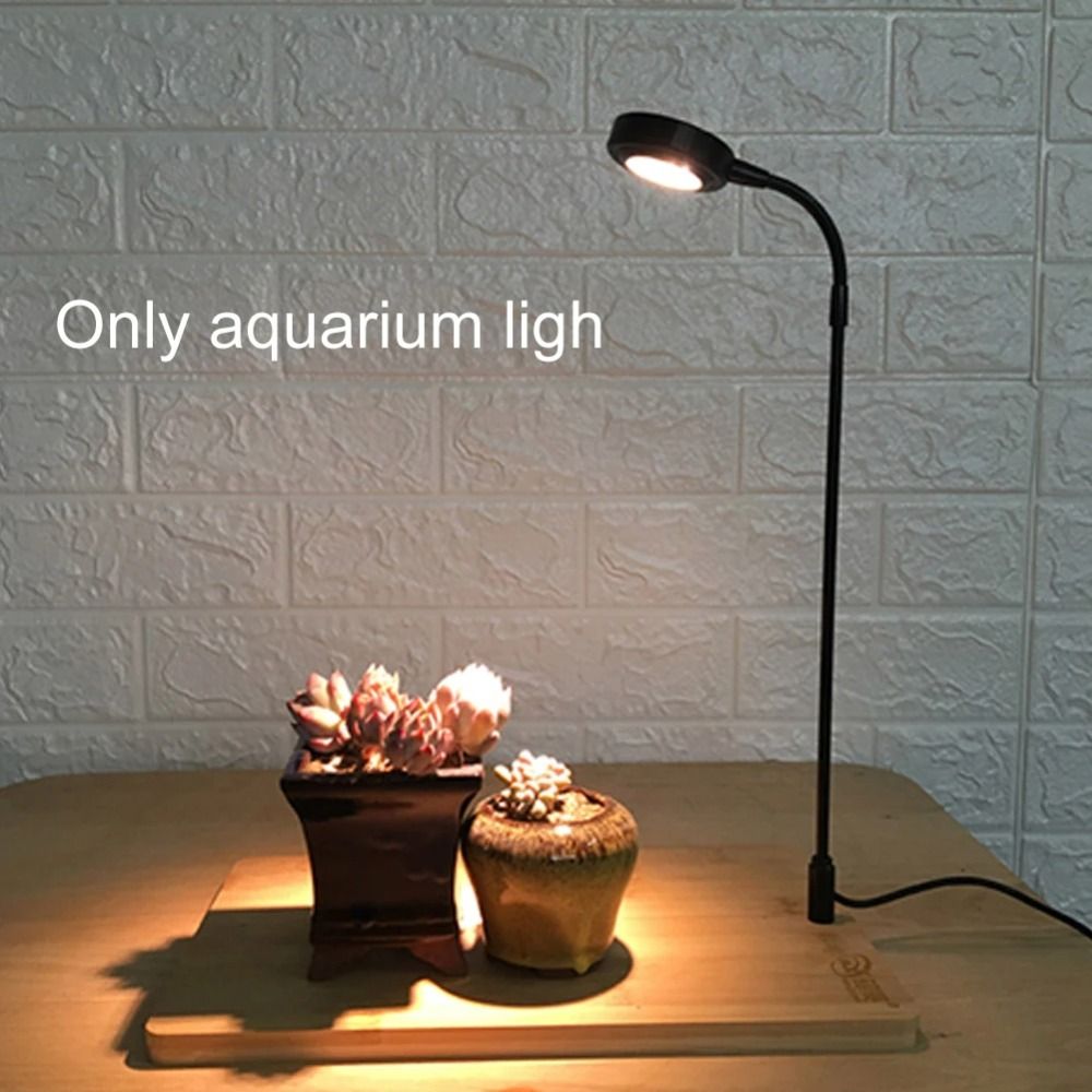 10W Aquarium Plant Fill Lamp w - огляд і ціна Aquarium Plant On Wood