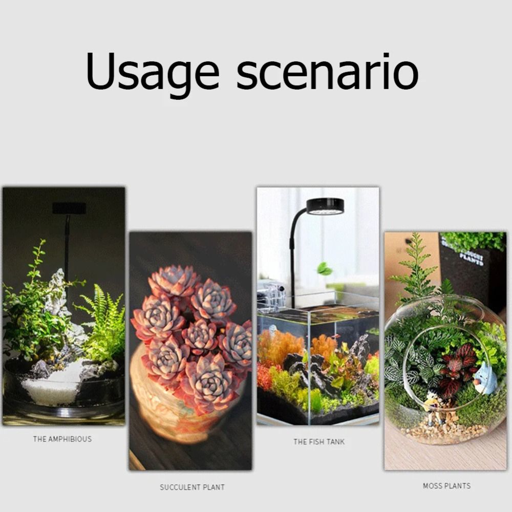 10W Aquarium Plant Fill Lamp w - огляд і ціна Aquarium Plant On Wood
