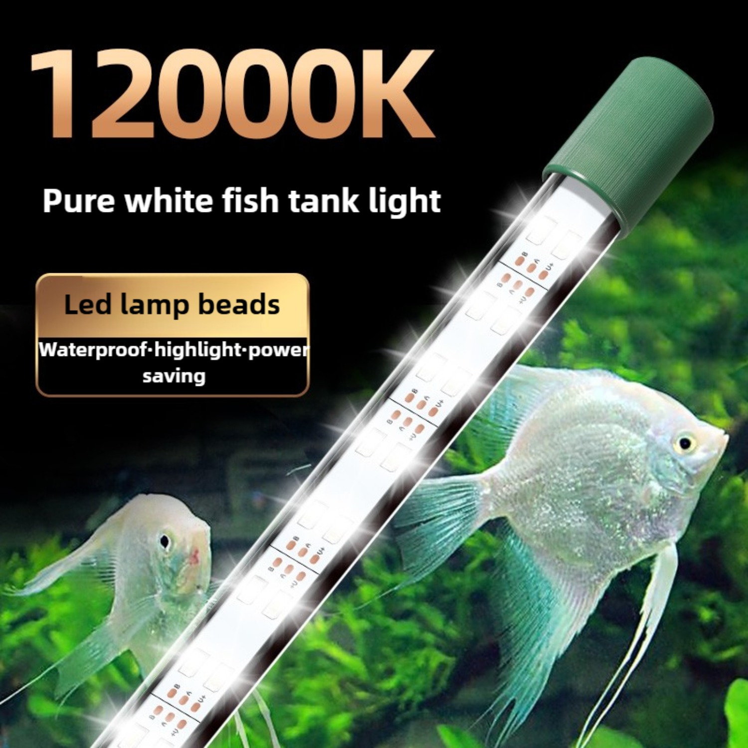 LED Aquarium Light Tube 25W Fi - огляд і ціна Planted Aquarium Youtube