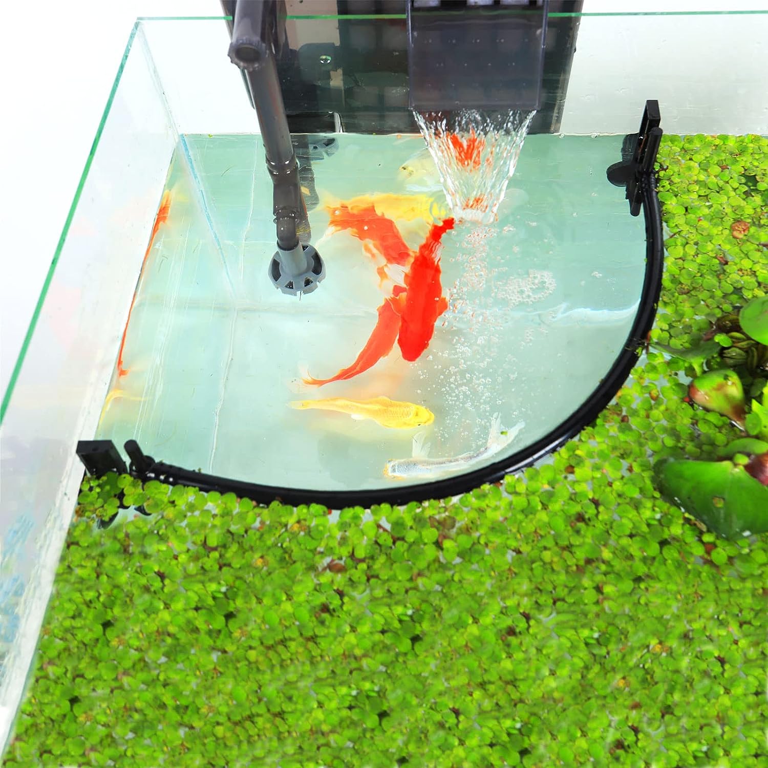 Aquarium Floating Plant Corral - огляд і ціна Planted Aquarium Heater