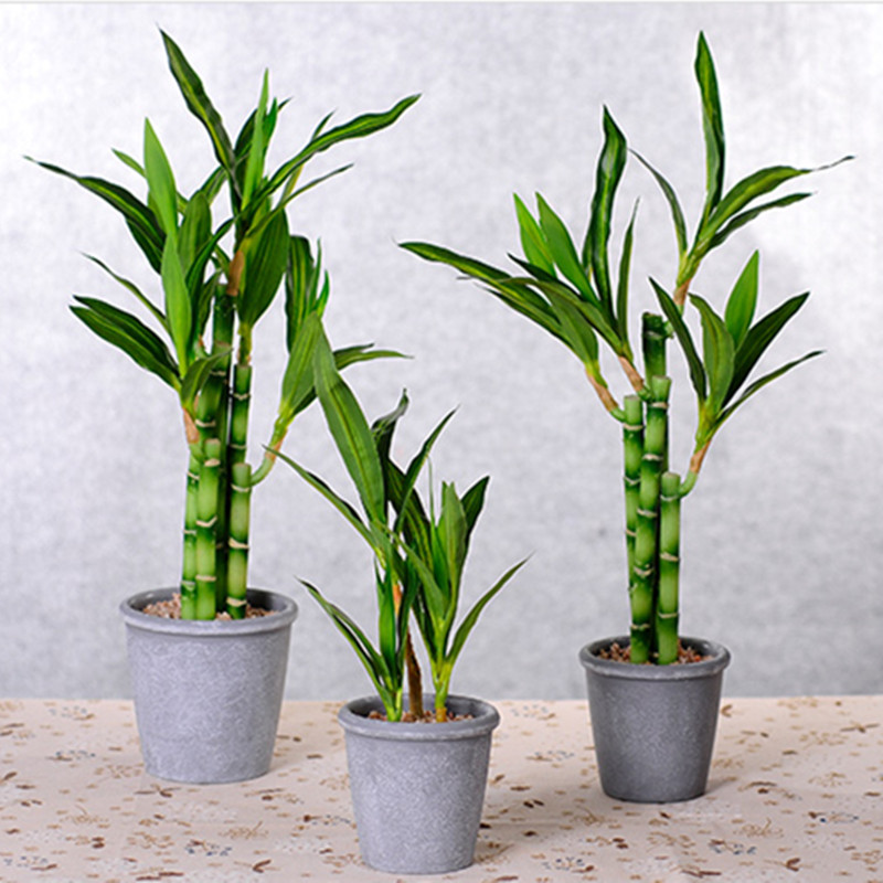 New 40cm rFtificial Lucky Bamb - огляд і ціна Aquarium Plant Nursery