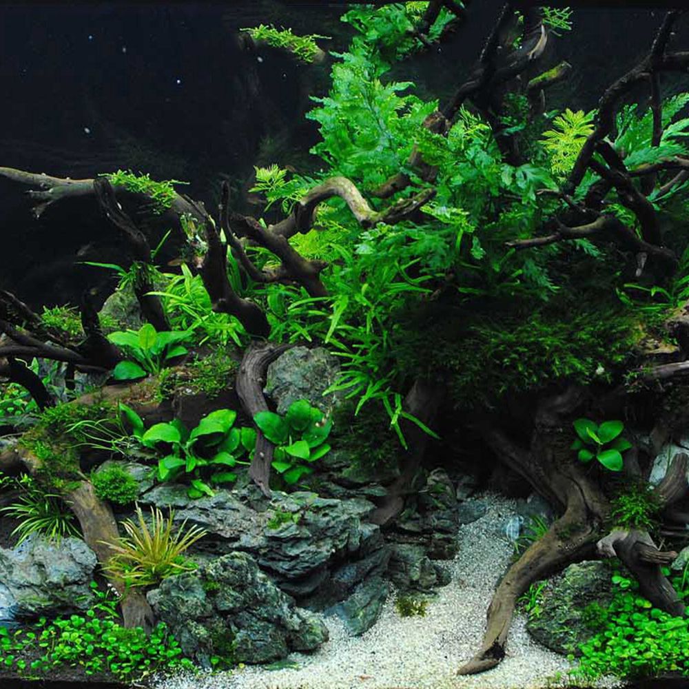 Wood N1N Reptile Tank Backgrou - огляд і ціна Aquarium Plant Roots