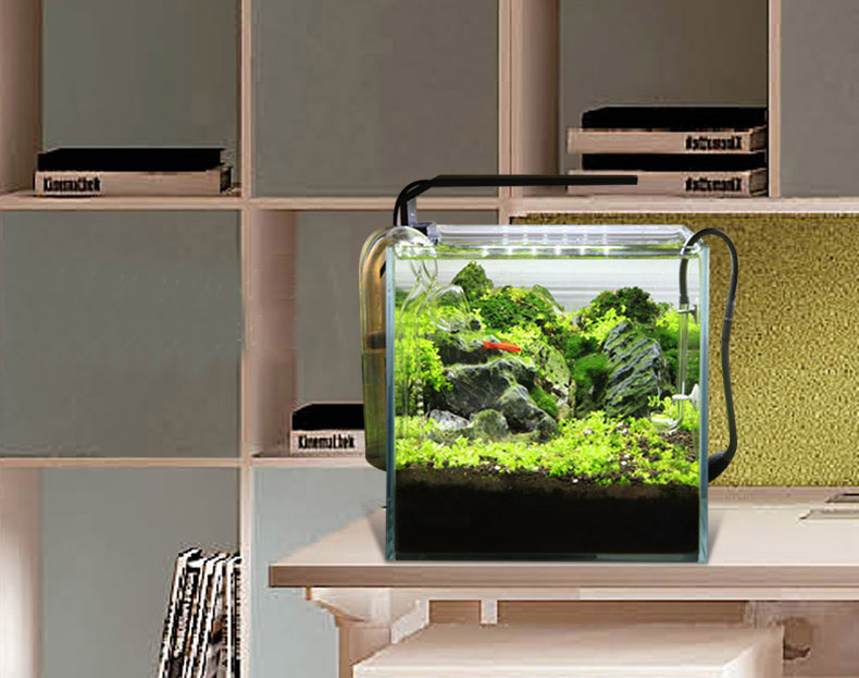 Chihiros C series ADA style Pl - огляд і ціна Planted Aquarium Ada
