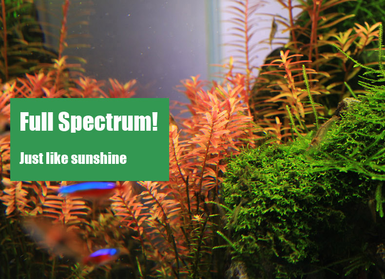 Chihiros C series ADA style Pl - огляд і ціна Planted Aquarium Ada