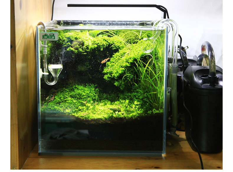 Chihiros C series ADA style Pl - огляд і ціна Planted Aquarium Ada