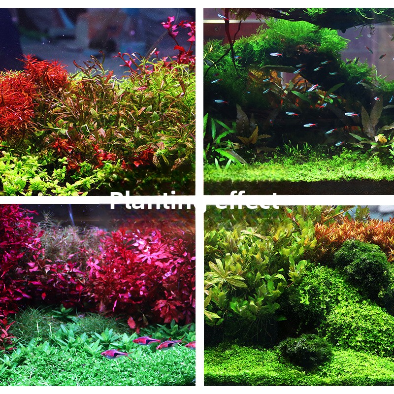 SYSENCIAGA Planted Aquarium Su - огляд і ціна Aquarium Planted Tank Fertilizer
