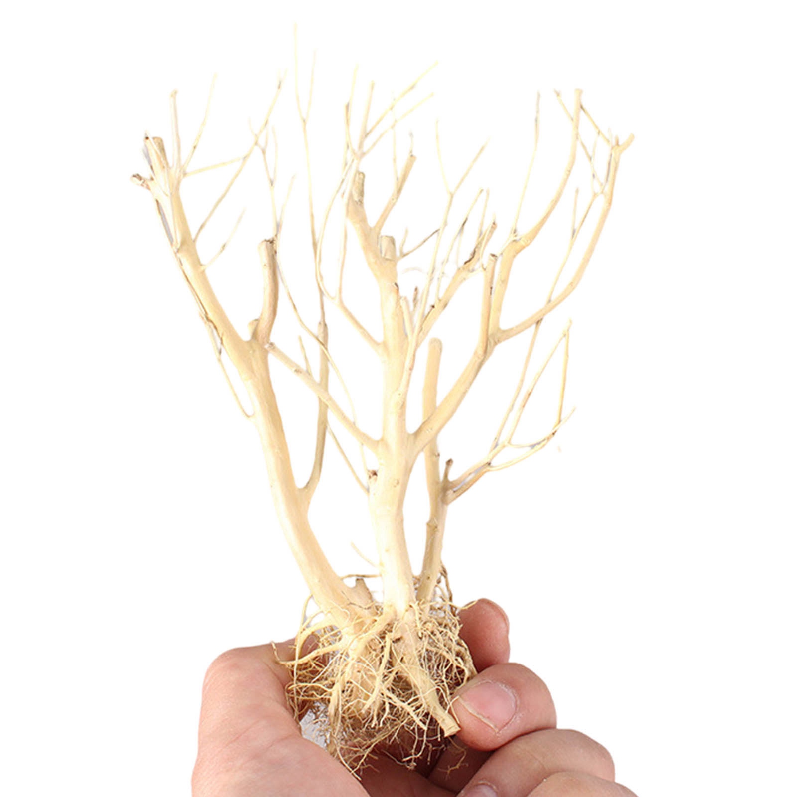 New DIY Driftwood Aquarium Mos - огляд і ціна Aquarium Plant On Wood