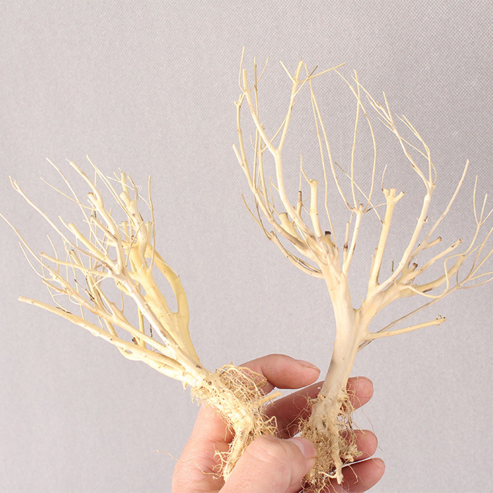 New DIY Driftwood Aquarium Mos - огляд і ціна Aquarium Plant On Wood