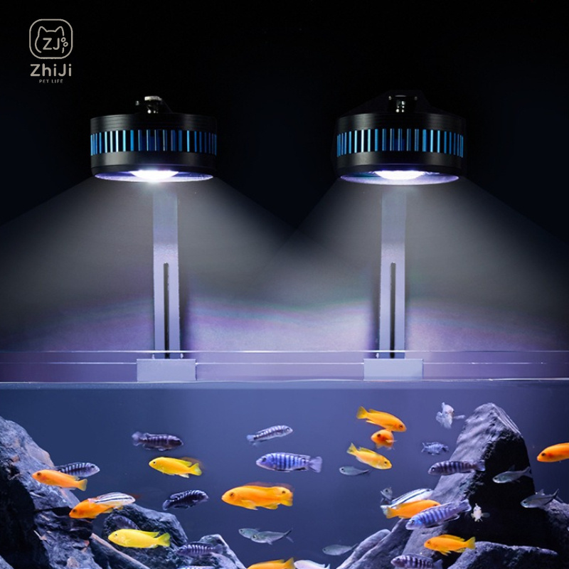 Fish Tank Downlight Led Full S - огляд і ціна Aquarium Plant On Wood
