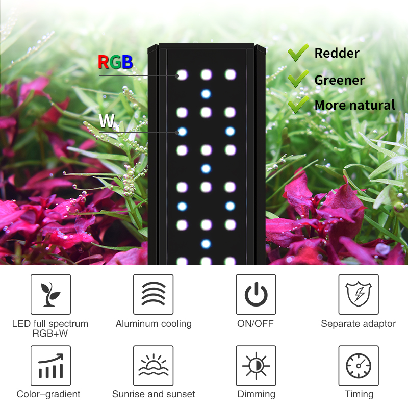 ZXY WEEK ADA Same Type Water S - огляд і ціна Planted Aquarium Ada