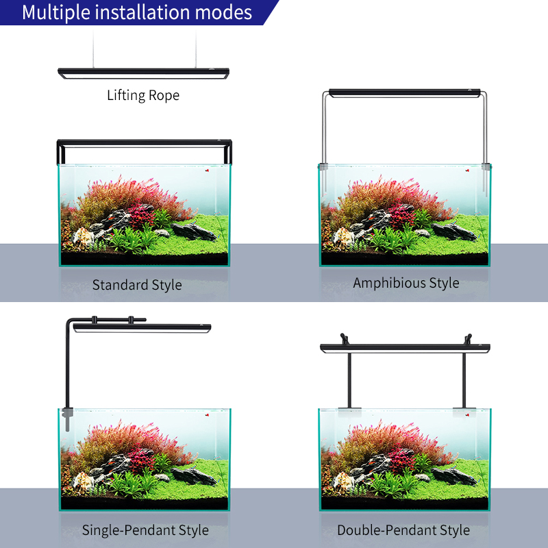 ZXY WEEK ADA Same Type Water S - огляд і ціна Planted Aquarium Ada
