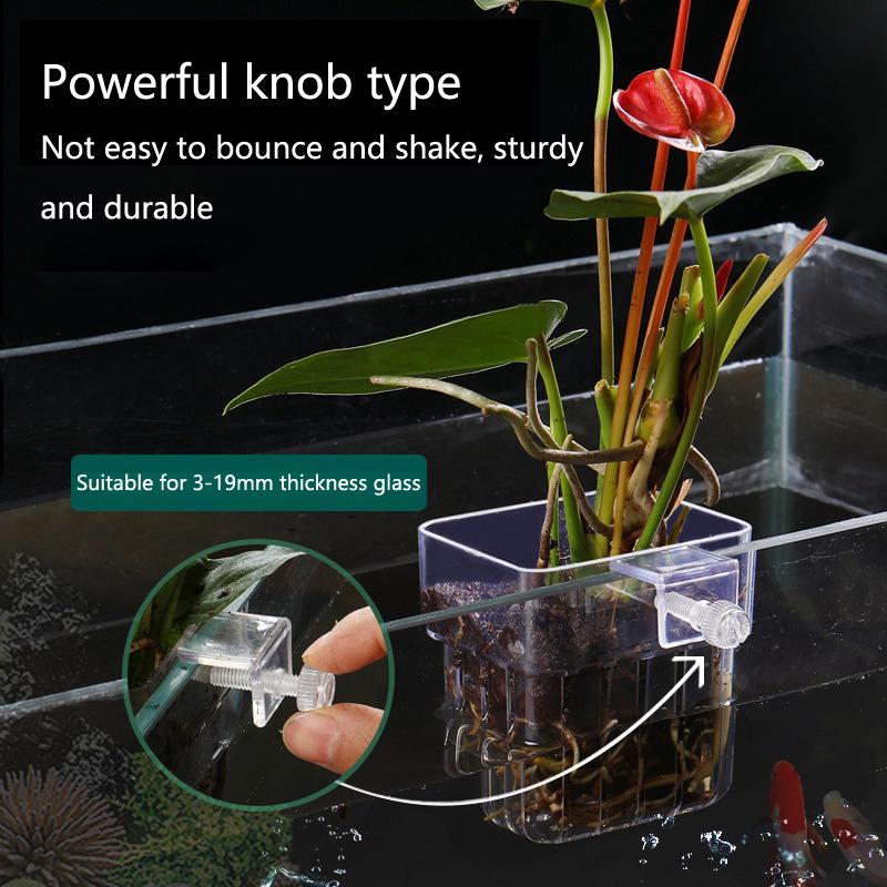 Aquarium Hydroponic Planting C - огляд і ціна Aquarium Planted Setup