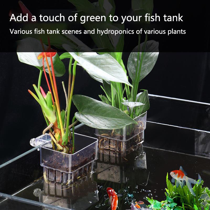 Aquarium Hydroponic Planting C - огляд і ціна Aquarium Planted Setup