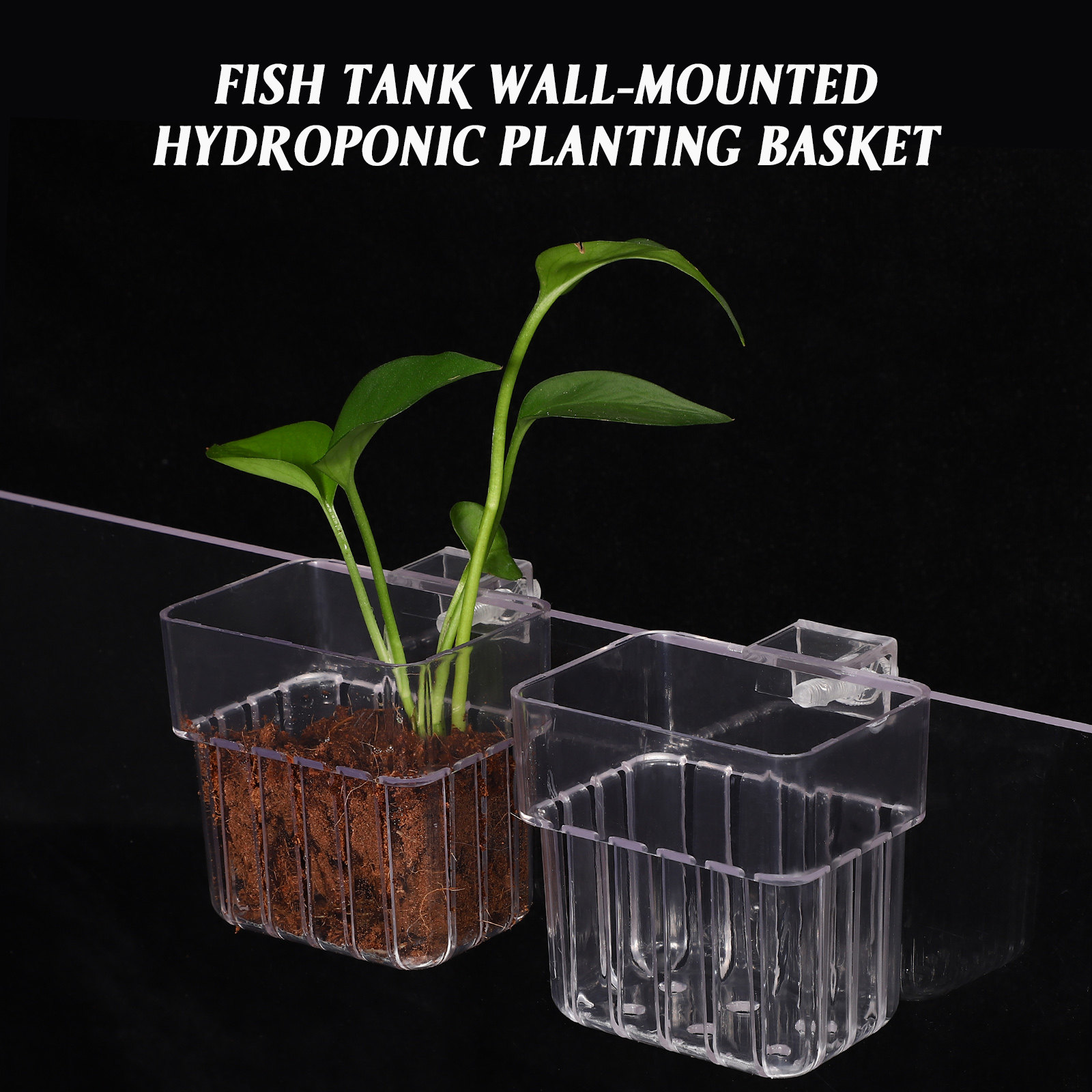 4Pcs Aquarium Plant Holders Cl - огляд і ціна Aquarium Planted Setup