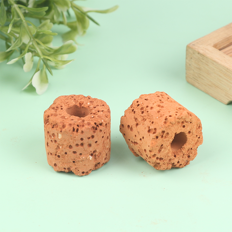 10Pcs Mini Aquatic Plant Ring  - огляд і ціна Aquarium Planted Setup