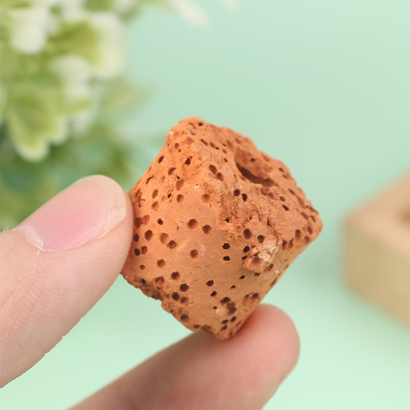 10Pcs Mini Aquatic Plant Ring  - огляд і ціна Aquarium Planted Setup