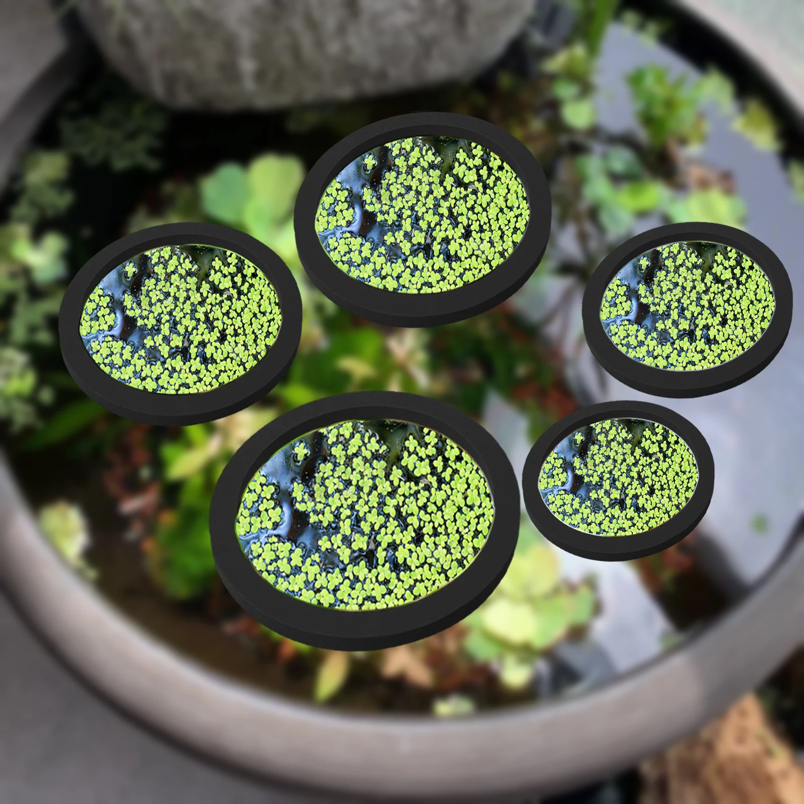 5Pcs EVA Fish Feeding Ring Aqu - огляд і ціна Aquarium Plant Original