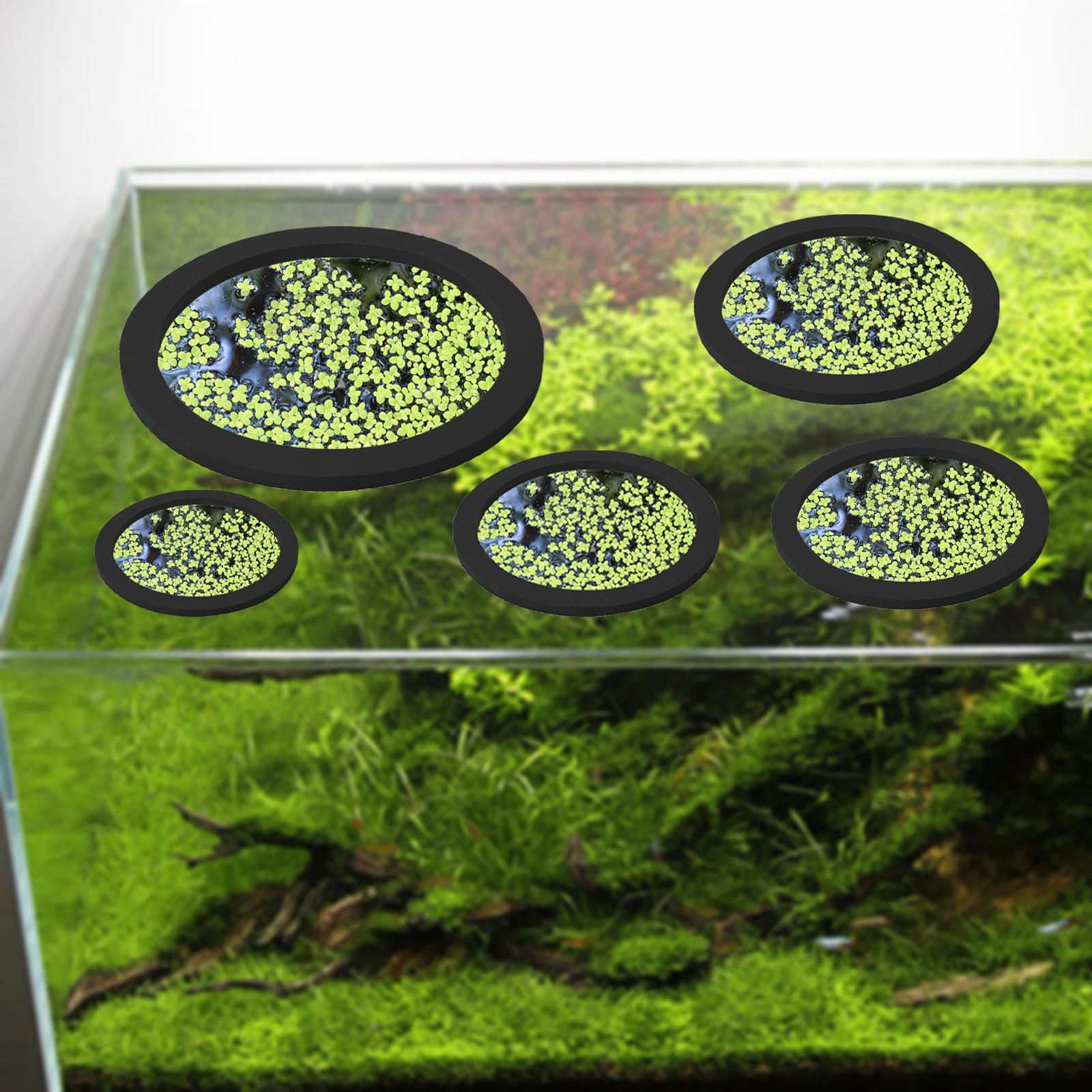 5Pcs EVA Fish Feeding Ring Aqu - огляд і ціна Aquarium Plant Original