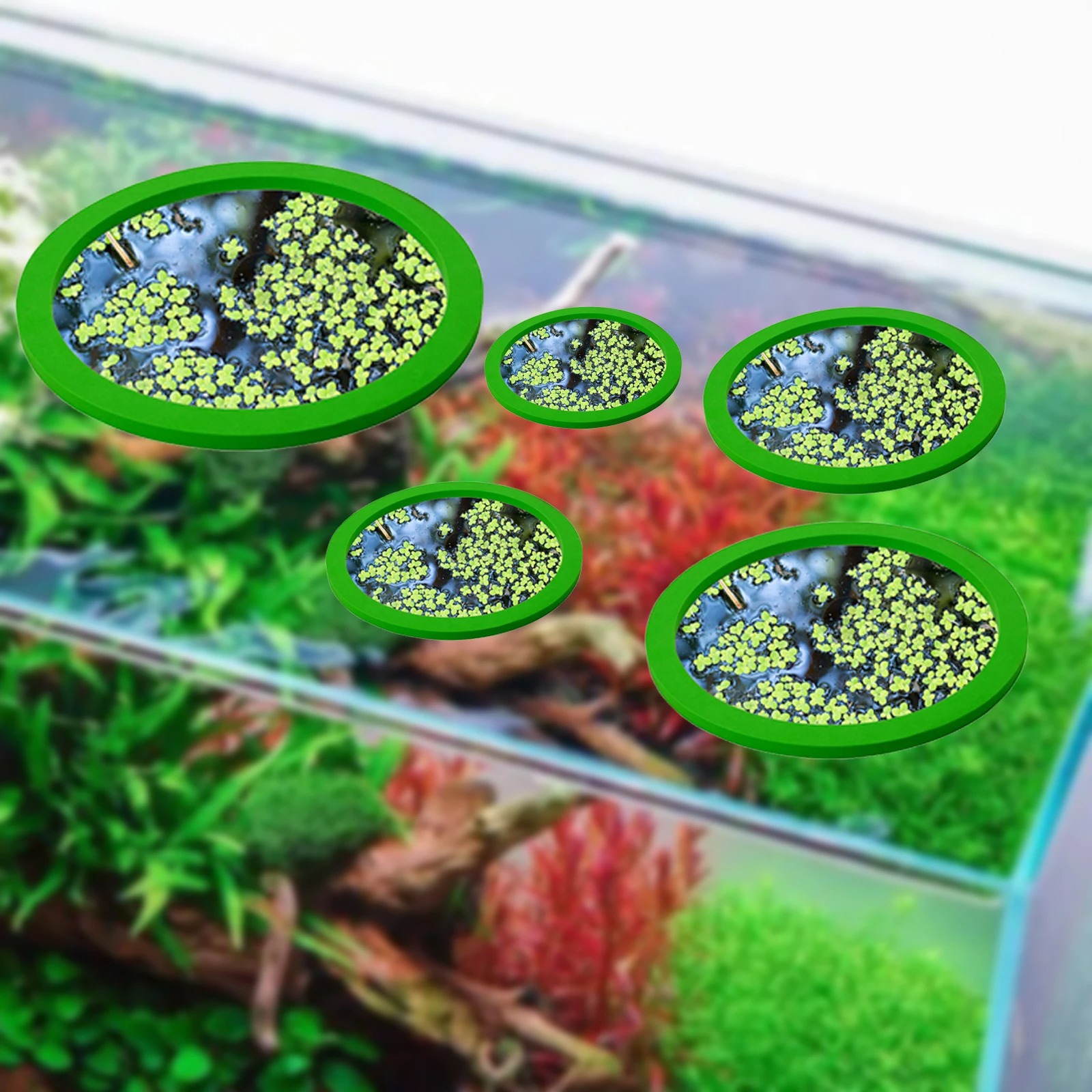 5Pcs EVA Fish Feeding Ring Aqu - огляд і ціна Aquarium Plant Original