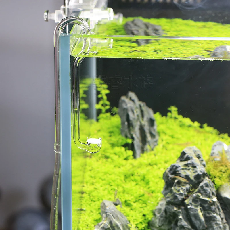 VIV BETTER LIFE CO2 System Dif - огляд і ціна Planted Aquarium Ada