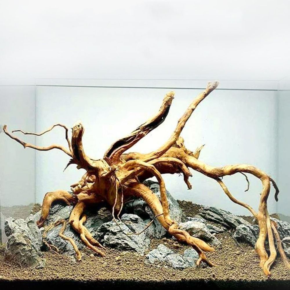 20-25CM Large Aquarium Driftwo - огляд і ціна Aquarium Plant Roots