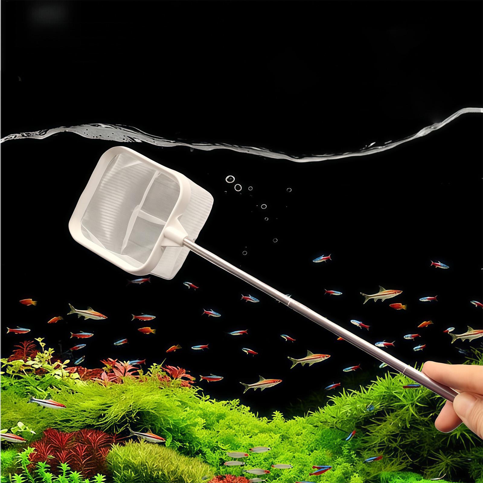 Extendable Long Handle Fine Me - огляд і ціна Aquarium Plant Roots