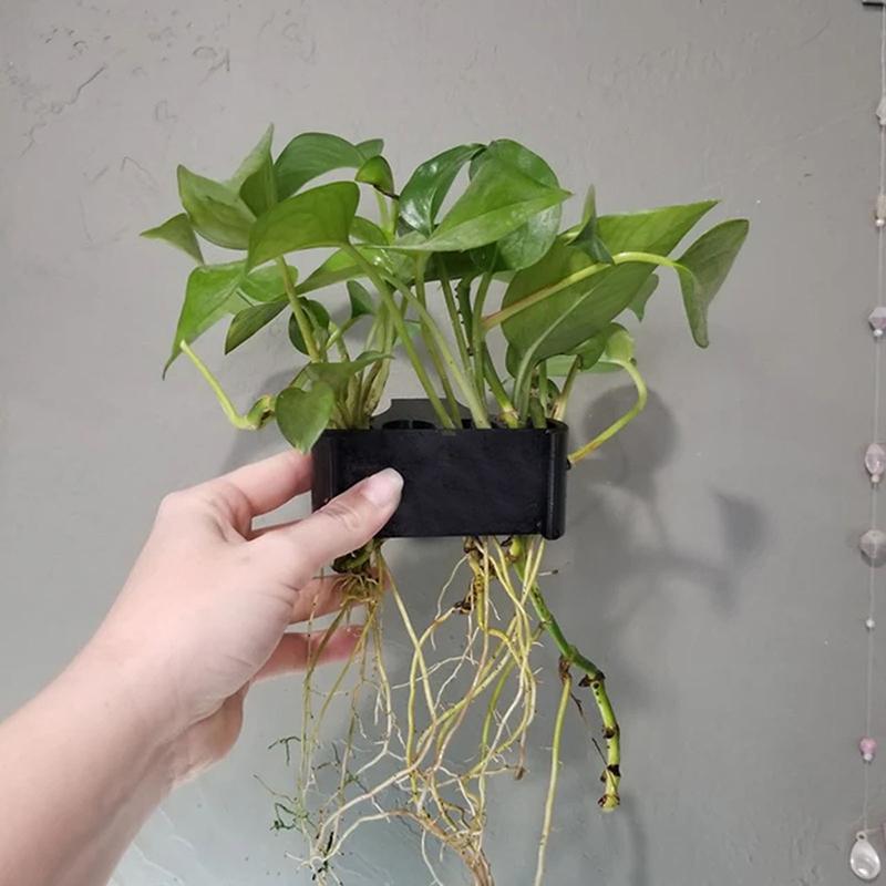 1 2 3Pcs Aquarium Plant Suppor - огляд і ціна Aquarium Planted Setup