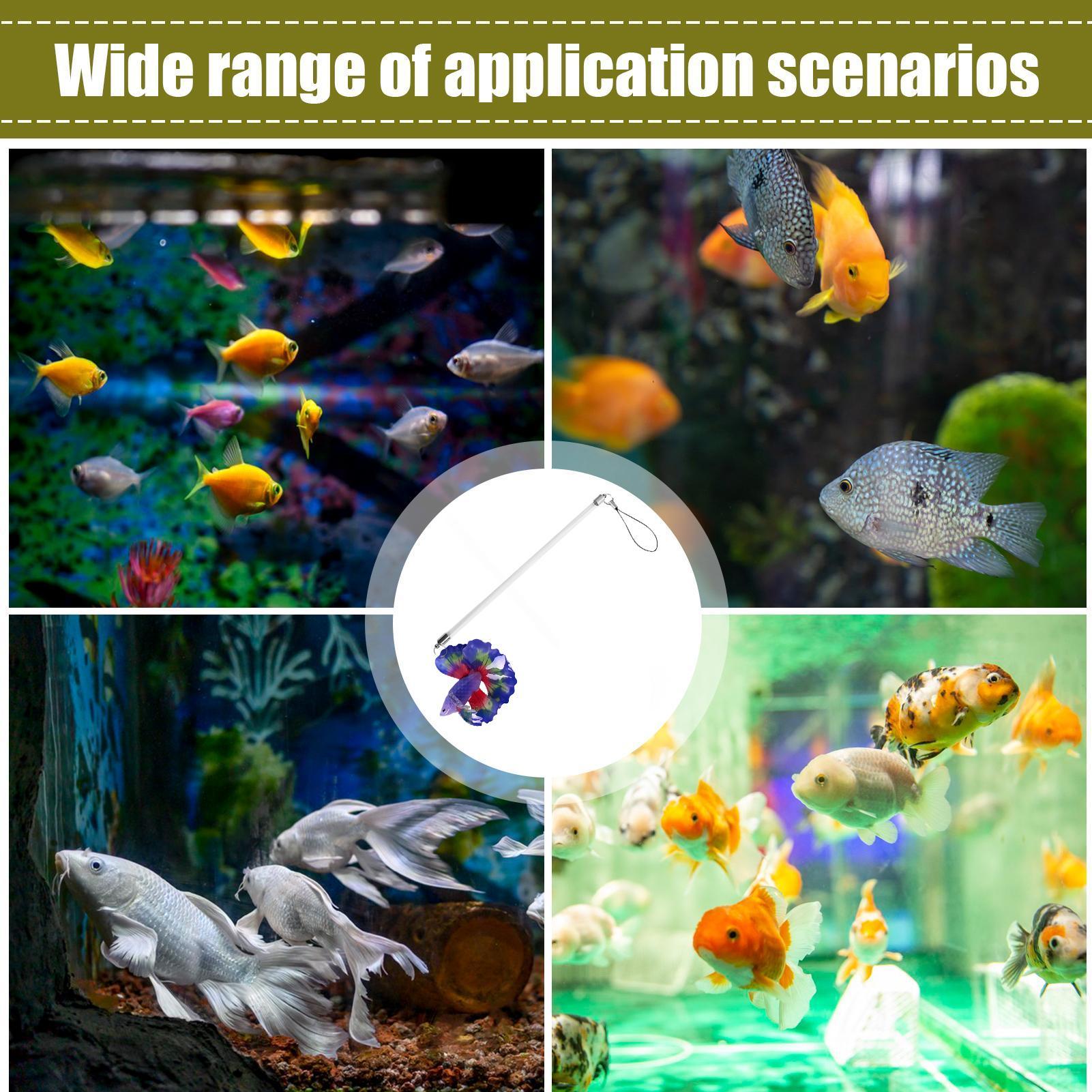 Fish Training Wand For Betta I - огляд і ціна Planted Aquarium For Beginners