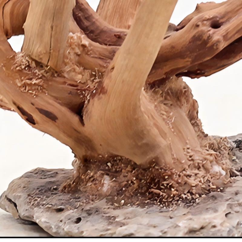 1PC Aquarium Landscaping Wood  - огляд і ціна Aquarium Plant Roots