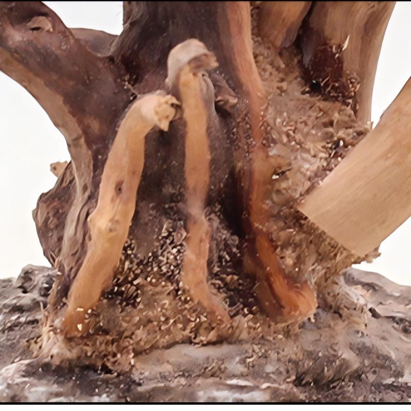 1PC Aquarium Landscaping Wood  - огляд і ціна Aquarium Plant Roots