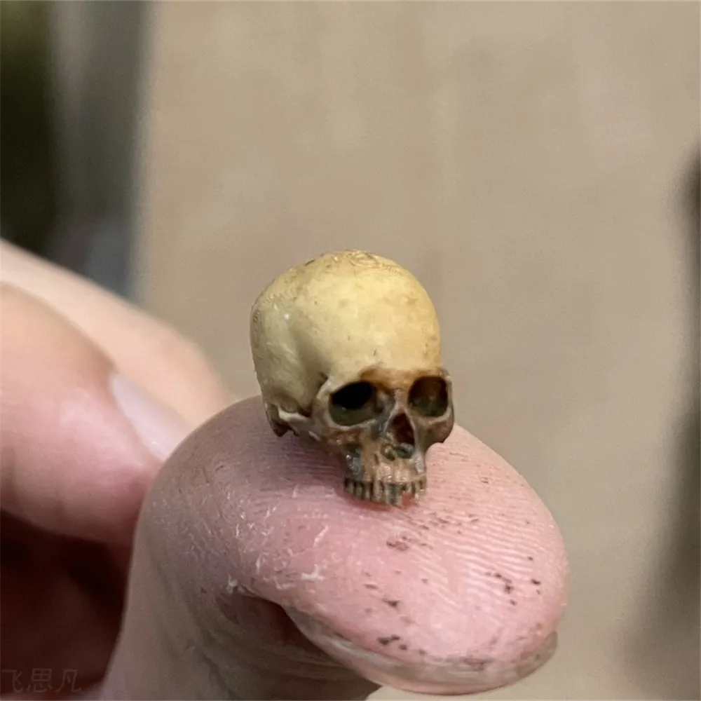 Mini Skull High Quality Miniat - огляд і ціна Aquarium Plant Nursery