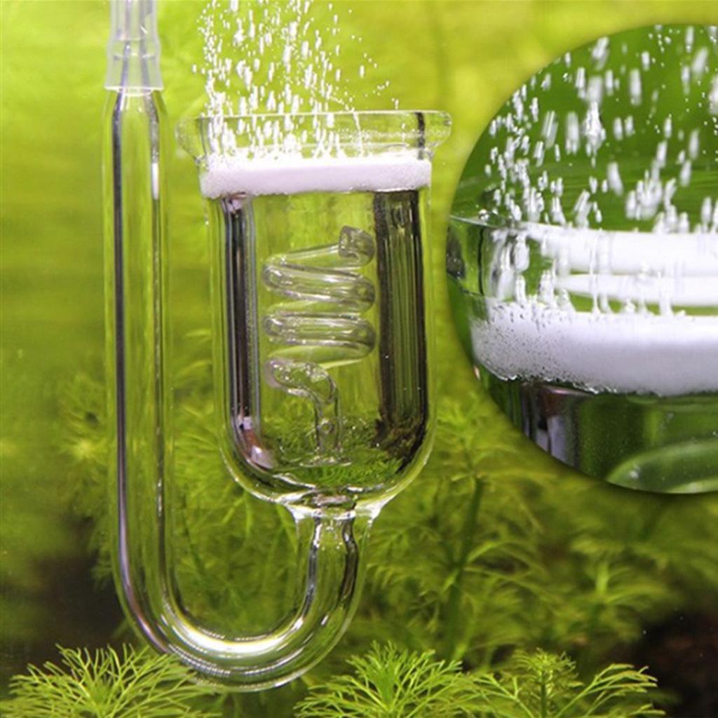 Durable Glass CO2 Diffuser Aqu - огляд і ціна Aquarium Planted Setup