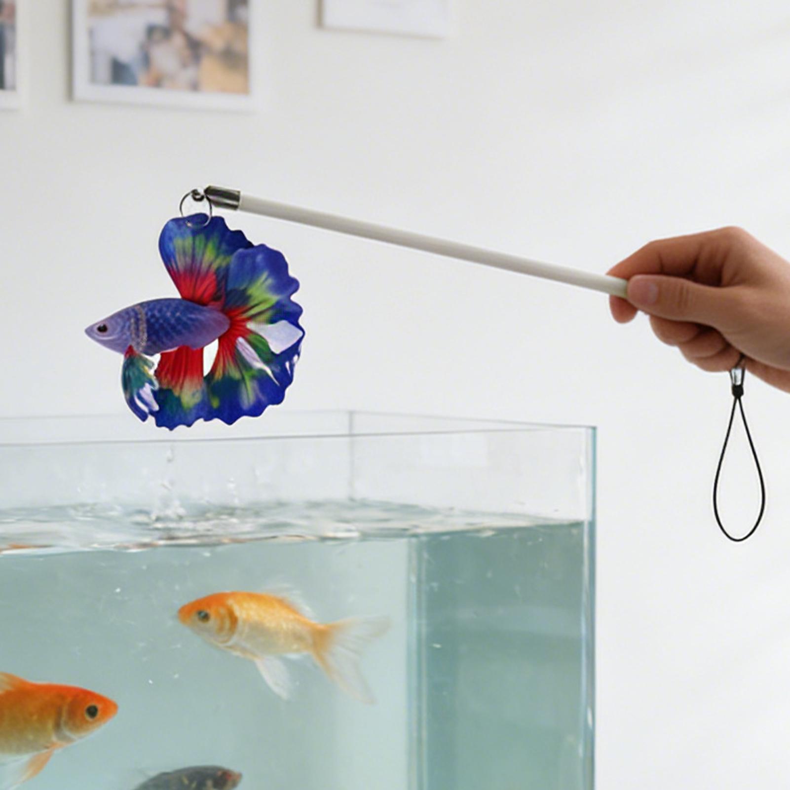 Fish Training Stick Realistic  - огляд і ціна Planted Aquarium For Beginners